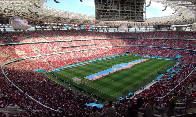 绿茵流量 绿茵流量