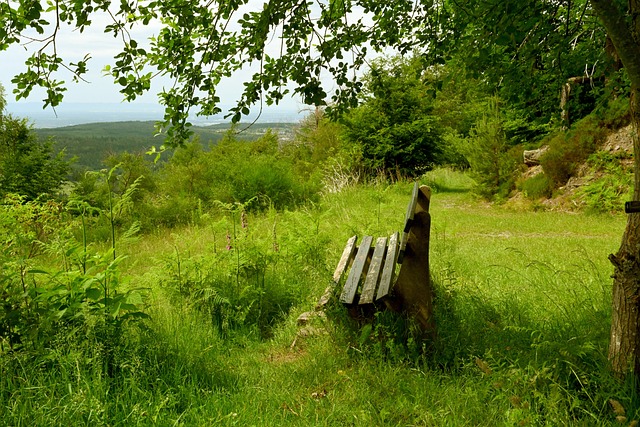 屏住呼吸准 屏住呼吸准
