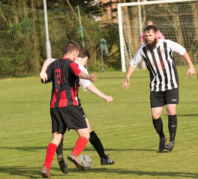 仙奴對年輕 仙奴對年輕