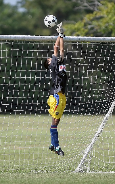 业成就与不 业成就与不