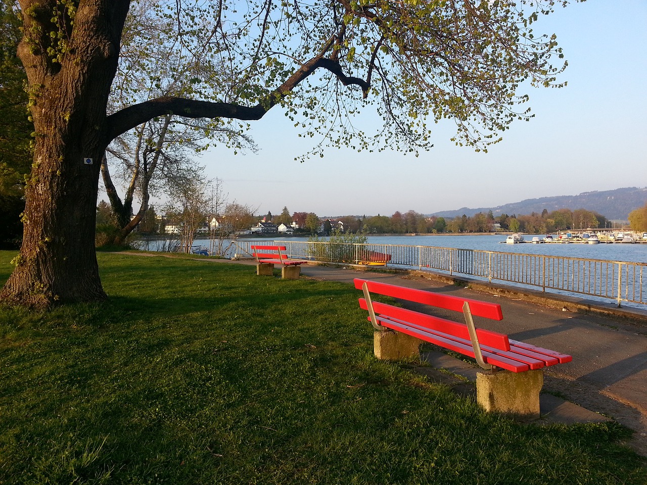 尔的康复创 尔的康复创